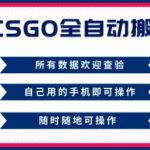 CSGO全自动搬砖，年底钱回家好项目，当天可拿到结果，新手小白轻松月入1W+【揭秘】