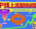 IP线上流量特训营，手把手教你搞流量、做IP、稳变现