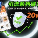 引流系列课10：闲鱼引流不封号玩法，单号单日曝光20w+