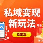 私域变现新玩法，0成本，多端引流，普通人月增收5k+