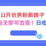 11月份男粉新路子，起号后当天即可变现，日收益4张
