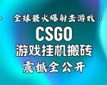 【年底大揭秘】基于全球最火爆的射击CSGO游戏挂G搬砖，日入5张+，震撼公开
