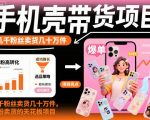 手机壳带货项目，几千粉丝卖货几十万件，短视频低粉卖货的天花板项目