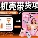 手机壳带货项目，几千粉丝卖货几十万件，短视频低粉卖货的天花板项目