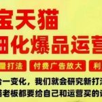 淘宝天猫精细化爆品运营课，免费流量打法-付费广告放大-利润增长-三大核心痛点，一次全部解决