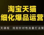 淘宝天猫精细化爆品运营（9月12-14杭州线下课），全方位拆解爆品打造逻辑【音频+字幕+文档】