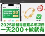 2025最新零撸薅羊毛项目，纯手机操作，20秒一单，无任何门槛，一天200+做就有【揭秘】