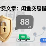 付费文章：闲鱼交易指南，怎么才能降低被坑被马扁的概率