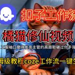 Coze扣子工作流一键生成橘猫修仙视频，保姆级搭建教程