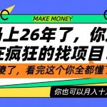 26年了，不要再疯狂的找项目了，看完这个你也可以月入十个W【揭秘】