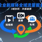短视频全域商业模式，企业新媒体全域流量掘金，3域协同，共振破屏，短视频-直播-私域-地域