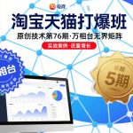 淘宝天猫打爆班原创技术第76期，万相台无界矩阵