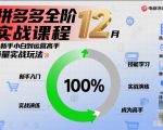 拼多多全阶实战课程12月，从新手小白到运营高手，海量实战玩法