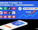 网盘拉新各个平台的推广方法，新手也能快速上手，打造没有天花板的被动收入