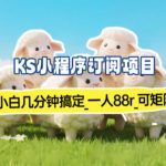 小程序订阅项目_小白几分钟搞定，一人88米，可矩阵（已测到账）