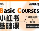 自媒生路小红书基础课，打通内容+投流，2025年起小红书必备