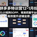 拼多多特训营12-1月份，全新3.01矩阵Sop，精准把握平台红利，高效提升店铺业绩