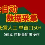 全自动数据采集项目，无需人工，单窗口可达50+收益，操作简单无难度，一个人也能轻松实现矩阵【揭秘】