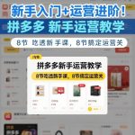 新手入门+运营进阶！拼多多新手运营教学，8节吃透新手课，8节搞定运营关