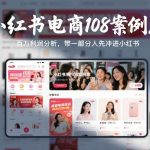 小红书电商108案例库，百W利润分析，带一部分人先冲进小红书【文档】