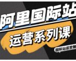 阿里国际站运营系列课，涵盖精准引流、直通车与全站推实战SOP，搭配AI效率工具包与高阶增长玩法（更新）
