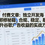 付费文章：独立开发海外邪修秘籍，合规、稳定、暴力提升谷歌广告收益的实战方法