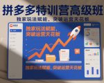 拼多多特训营高阶班，独家玩法赋能，突破运营天花板（更新26年3月13日）