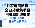 独家电商数据全自动采集项目，可批量矩阵操作，单窗口日入3张+，稀缺玩法闭眼入【揭秘】
