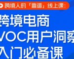 跨境电商VOC用户洞察入门必备课，跨境人的靠谱线上课