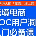 跨境电商VOC用户洞察入门必备课，跨境人的靠谱线上课