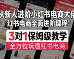 从新人进阶小红书电商大佬，红书电商全面进阶课程，3对1保姆级教学，全方位玩透红书电商