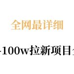 全网最详细从0-100w拉新项目全解，原理、收益和操作全拆解