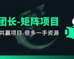 【团长合作】视频矩阵项目_招发手矩阵+剪辑师，共赢项目【揭秘】