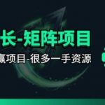 【团长合作】视频矩阵项目_招发手矩阵+剪辑师，共赢项目【揭秘】