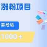 刚需千川涨粉项目，一部手机无需技术，单日变现1k+，当天做当天见收益【揭秘】