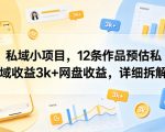 私域小项目，12条作品预估私域收益3k+网盘收益，详细拆解