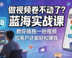 做视频卷不动了？蓝海实战课教你搞独一份视频，拉客户还能轻松賺钱！【原创双语字幕】