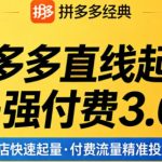 拼多多直线起店+强付费3.0，教你稳定起店、高效控投产、破解流量瓶颈（更新4月）
