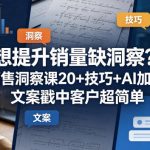 想提升销量缺洞察？销售洞察课20+技巧+AI加速，文案戳中客户超简单【原创双语字幕】