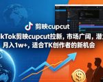 海外TikTok剪映cupcut拉新，市场广阔，潜力巨大，月入1w+，适合TK创作者的新机会