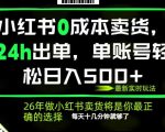 小红书0成本AI卖货，24小时出单，全流程托管，保底日入500+，每天十几分钟就够了【揭秘】