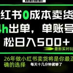 小红书0成本AI卖货，24小时出单，全流程托管，保底日入500+，每天十几分钟就够了【揭秘】
