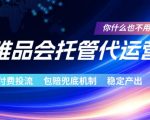 唯品会托管代运营，付费投流玩法，包赔兜底机制，稳定产出【揭秘】