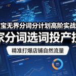 淘宝无界分词分计划高阶实战课，独家分词选词投产技术，精准打爆店铺自然流量