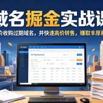 域名交易掘金实战课，低价收购过期域名，并快速高价转售，賺取丰厚利润【原创双语字幕】