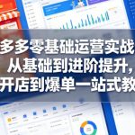 拼多多零基础运营实战课，从基础到进阶提升，从开店到爆单一站式教学