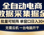 全自动电商数据采集掘金，批量可矩阵单窗口日入30+，无需云机一台电脑开干【揭秘】
