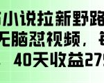 番茄小说拉新野路子玩法，无脑怼视频，玩法简单、见效快，每单10米，40天收益27950