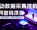 全自动数据采集挂G，全网首码项目，简单易操作，小白也能轻松上手，多账号操作，轻松日入500+【揭秘】
