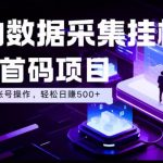 全自动数据采集挂G，全网首码项目，简单易操作，小白也能轻松上手，多账号操作，轻松日入500+【揭秘】